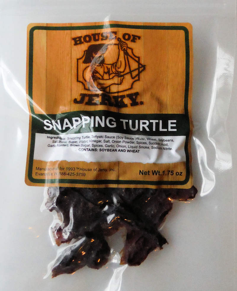 Snapping Turtle